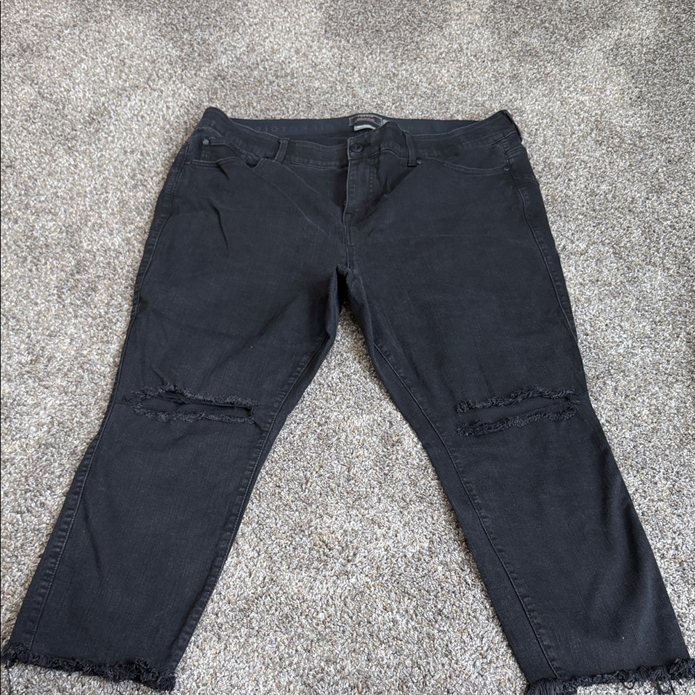 Torrid Black Bombshell Skinny Jeans